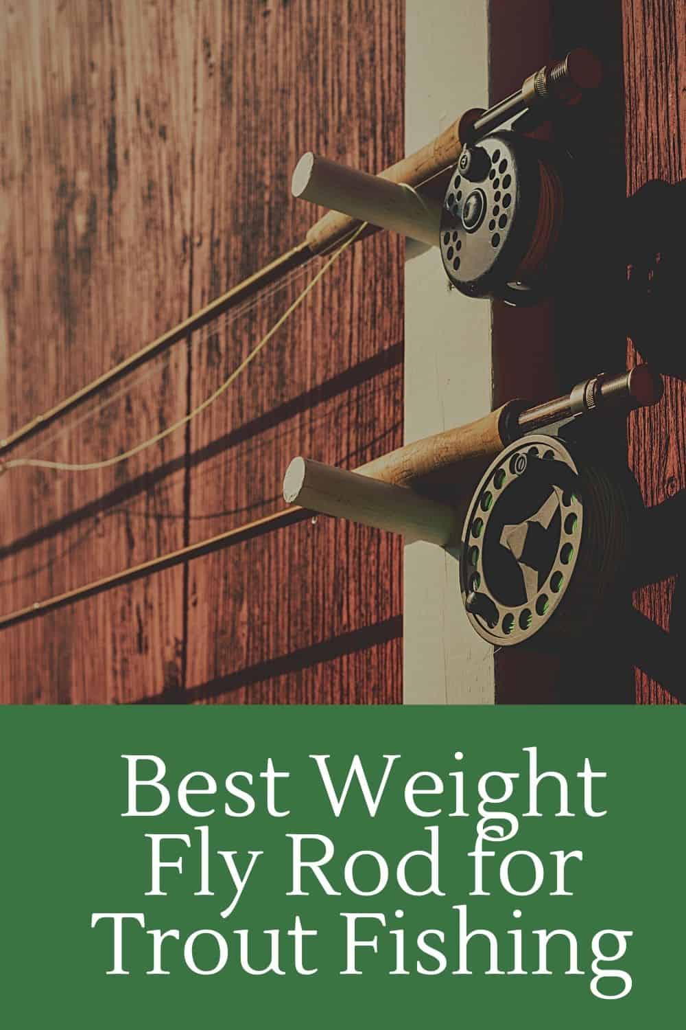 Best Weight Fly Rod for Trout Fishing Southern Trout