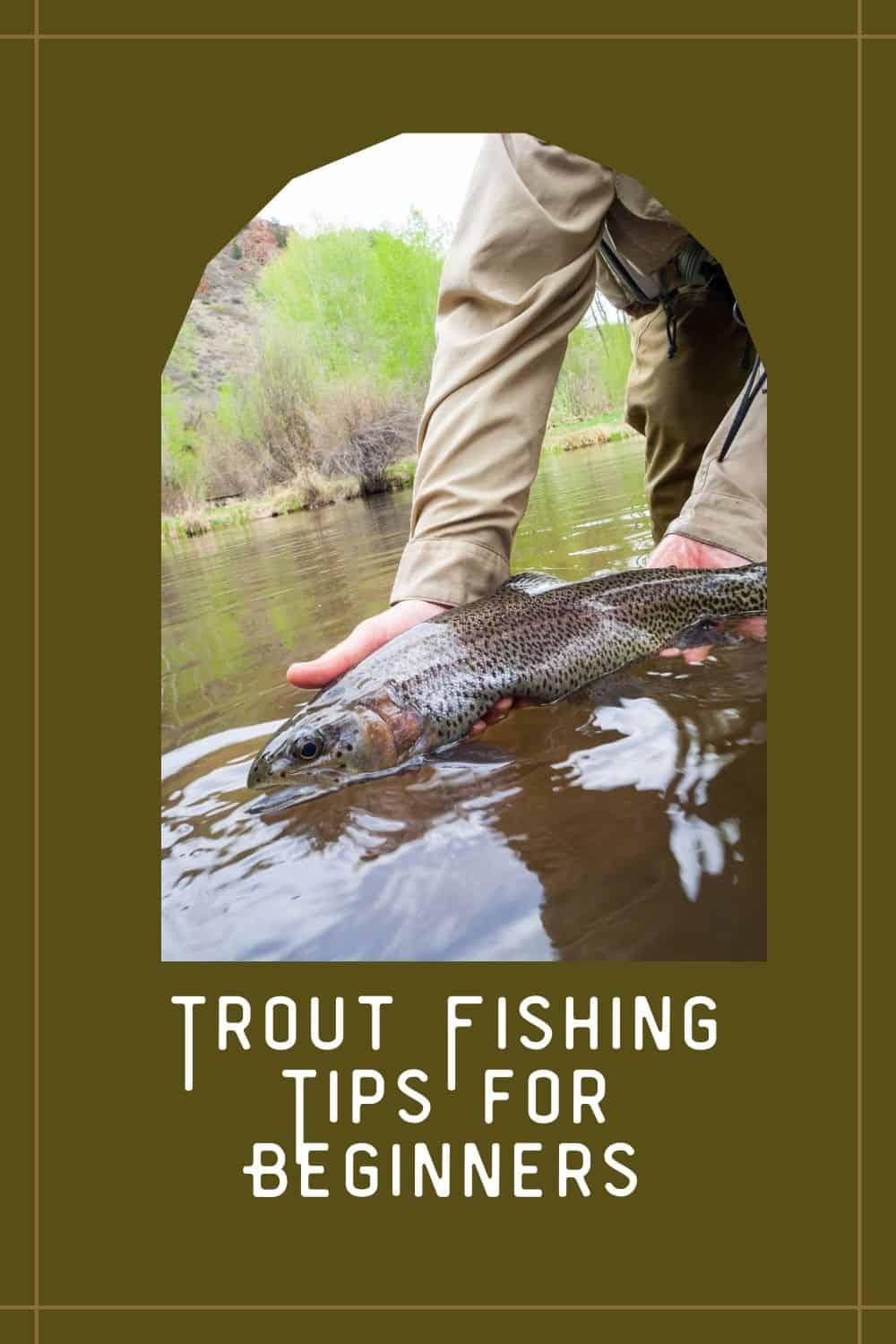 Trout Fishing Tips for Beginners [ Easy Steps for Fishing Success