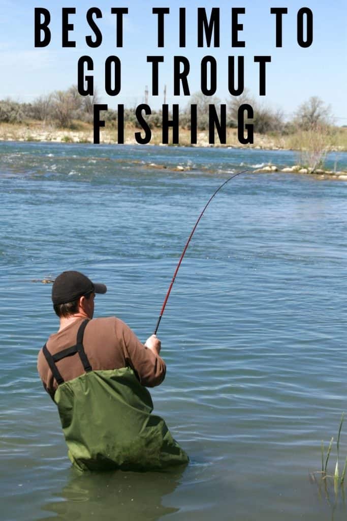 best time to go trout fishing
