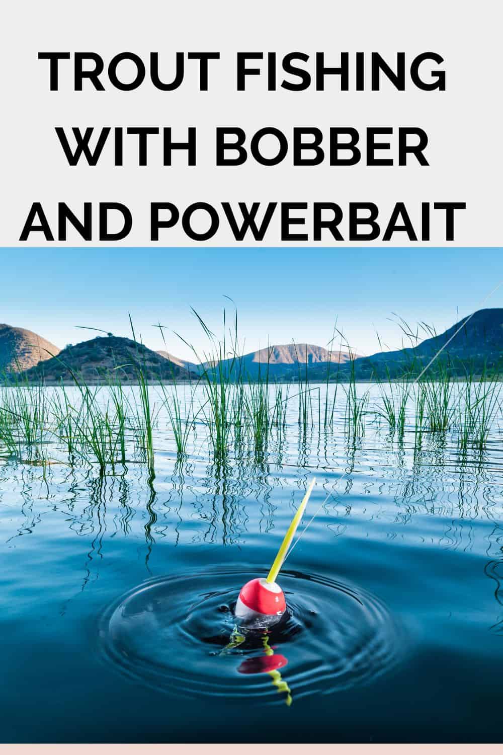 Trout Fishing With Bobber and Powerbait Southern Trout
