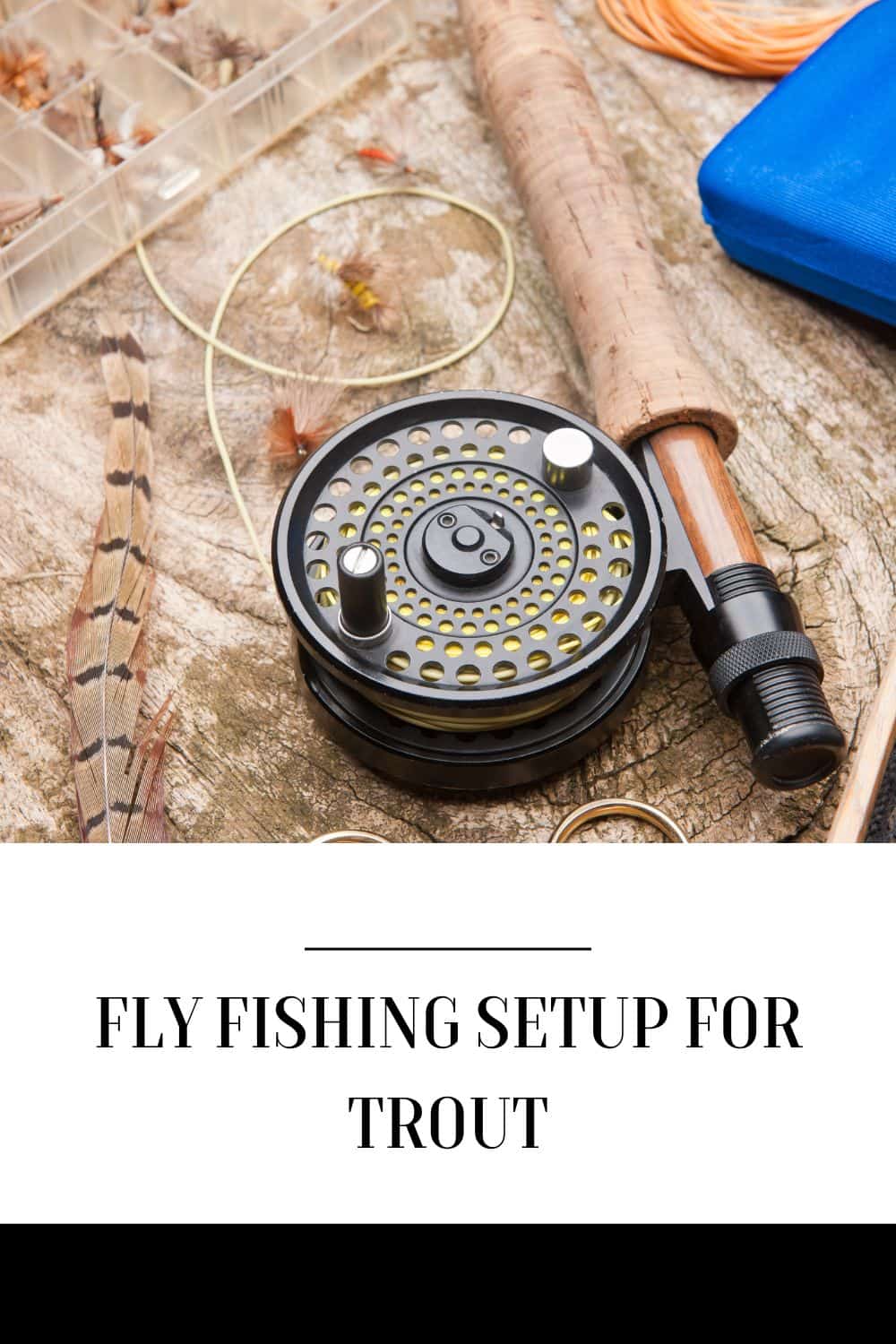 Fly Fishing Setup for Trout Southern Trout