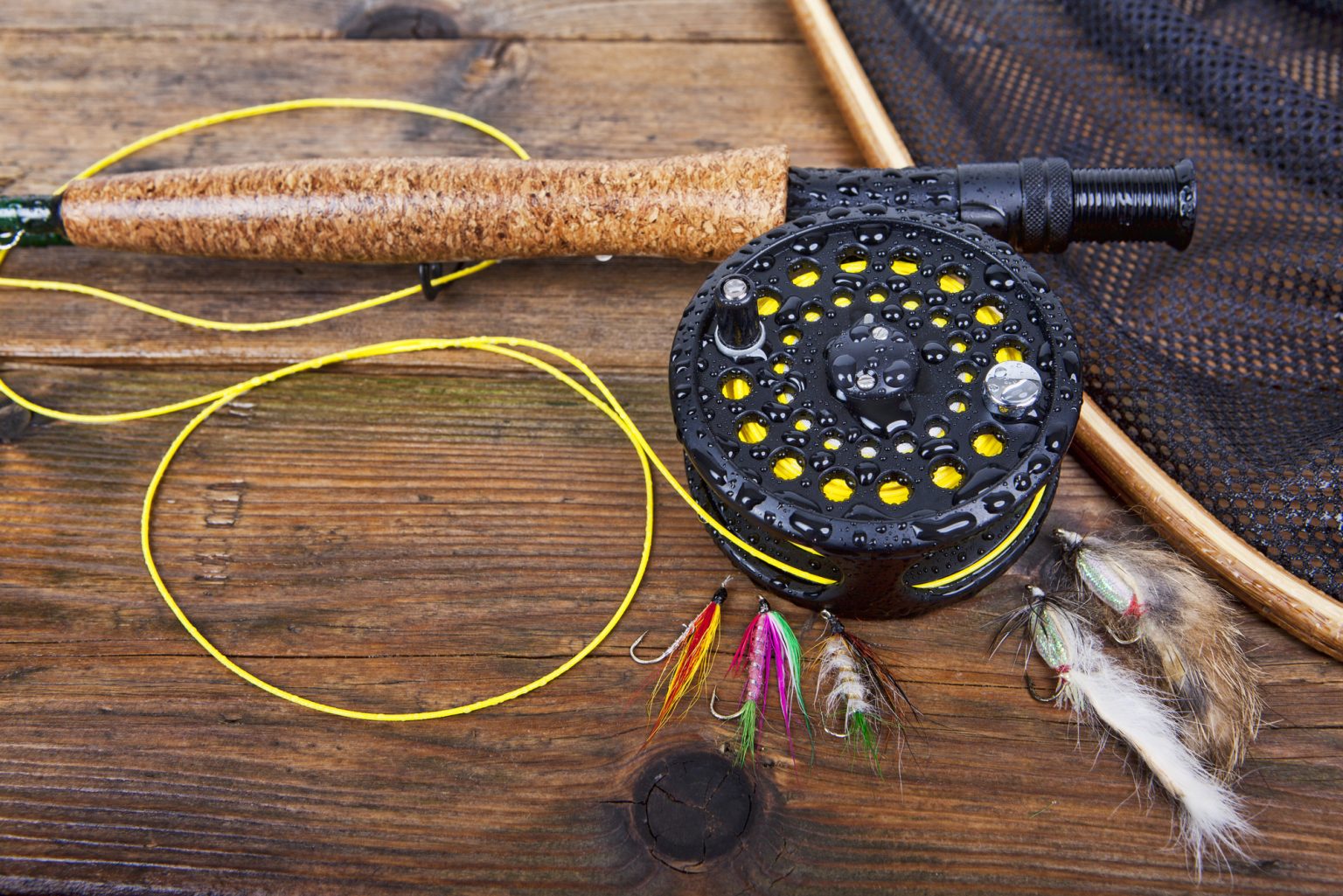 Fly Fishing Setup for Trout Southern Trout