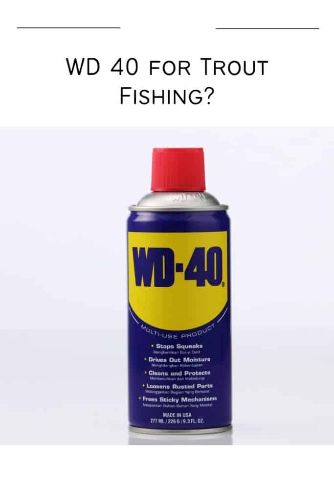 trout fishng with wd 40 wd 40 for trout fishing