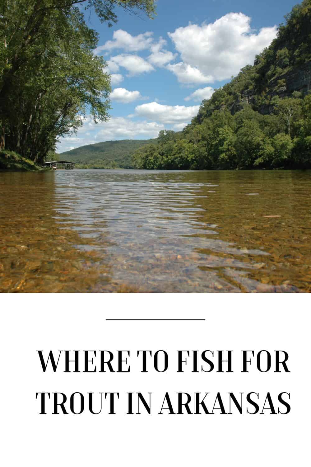 Where to Fish for Trout in Arkansas [4 Great Fishing Spots Revealed