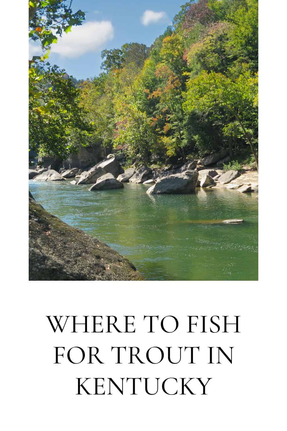 Where to Fish for Trout in Kentucky [ 5 Great Fishing Spots Revealed