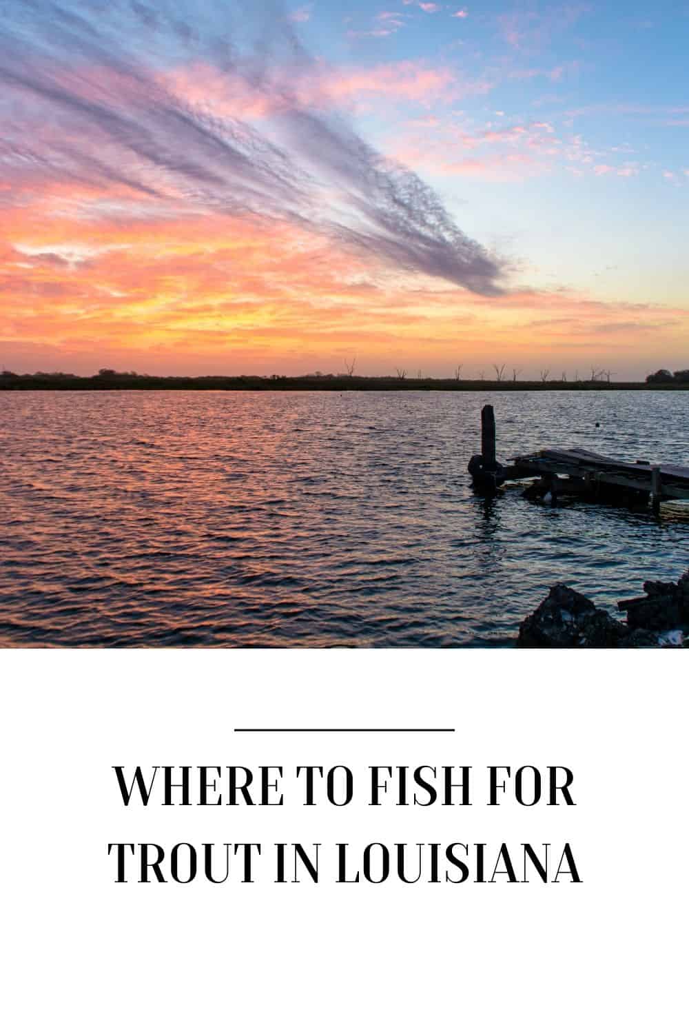 Where to fish for trout in Louisiana Ultimate Guide to Best Spots