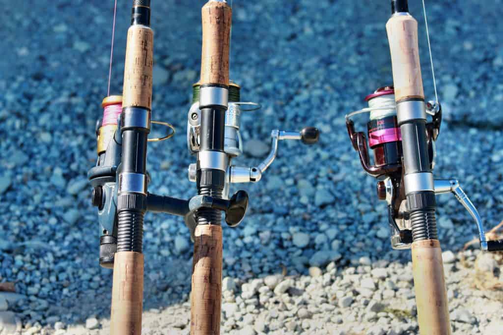 trout and bass fishing rods on the bank with spinning reels