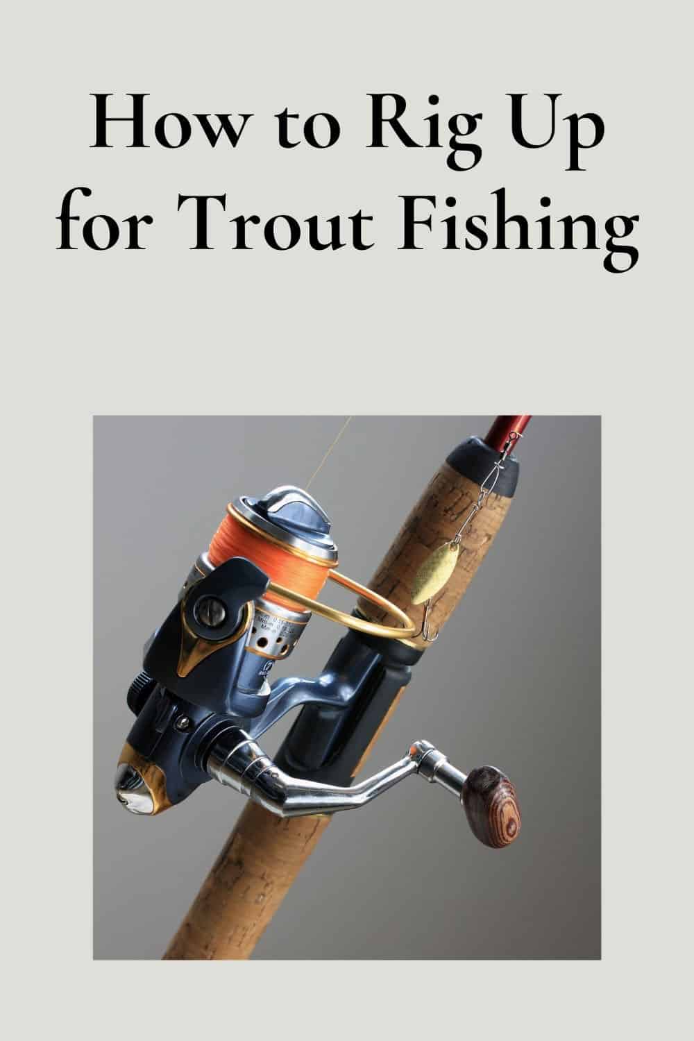 Trout Fishing 101 How to Rig Up for Trout Fishing Like A Pro