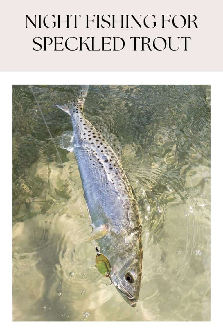 Night Fishing for Speckled Trout Tips and Techniques for a Successful