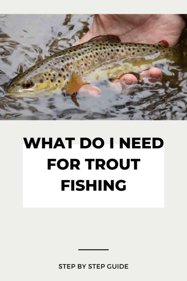 What Do I Need for Trout Fishing: The Ultimate Checklist - Southern Trout